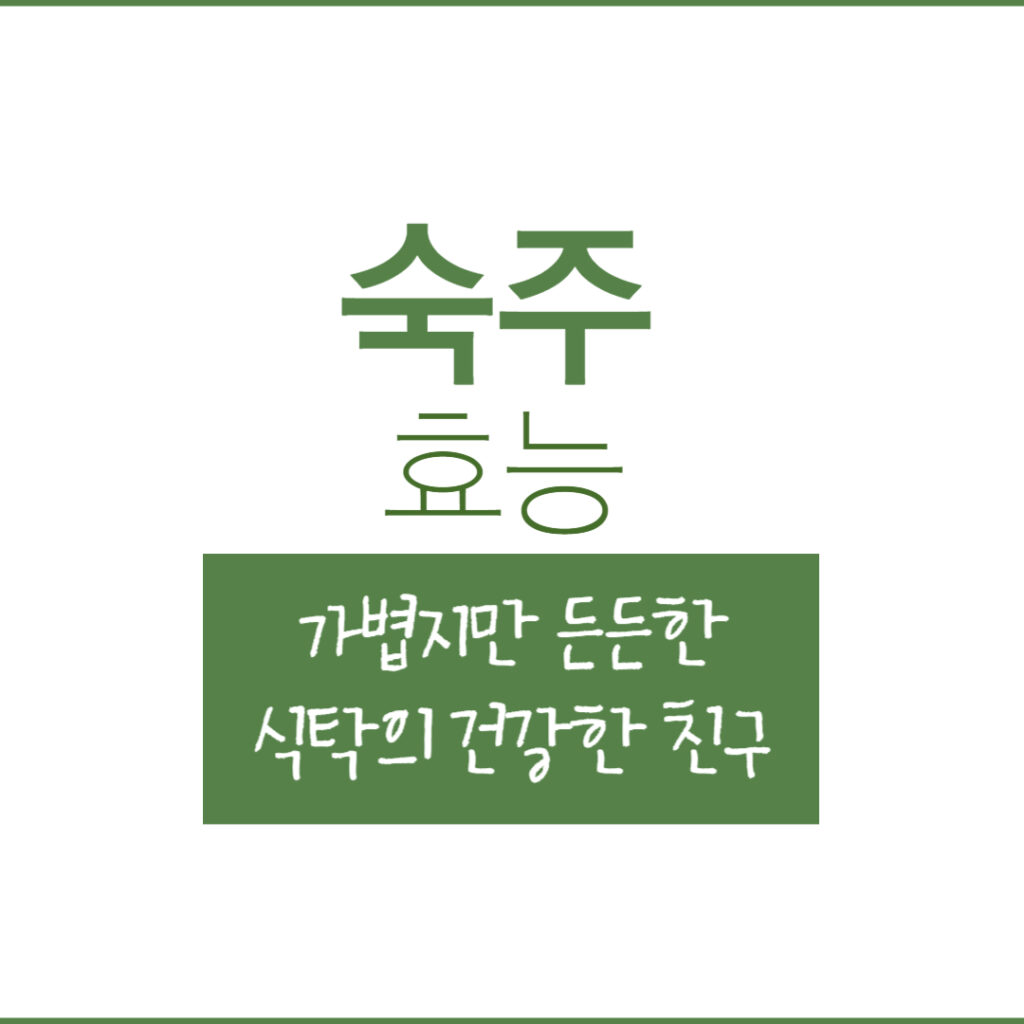 숙주 효능, 가볍지만 든든한 식탁의 건강한 친구