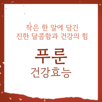 푸룬 건강효능, 작은 한 알에 담긴 진한 달콤함과 건강의 힘