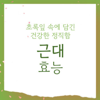 근대 효능, 초록잎 속에 담긴 건강한 정직함