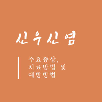 신우신염 주요증상, 치료방법 및 예방방법