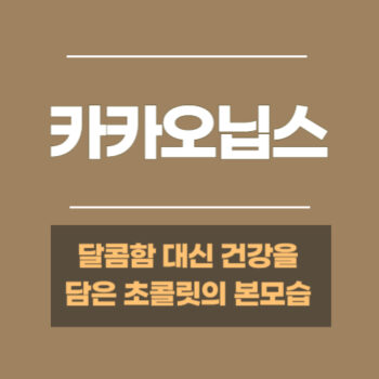 카카오닙스 건강효능, 달콤함 대신 건강을 담은 초콜릿의 본모습