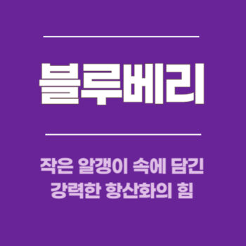블루베리, 작은 알갱이 속에 담긴 강력한 항산화의 힘