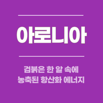 아로니아, 검붉은 한 알 속에 농축된 항산화 에너지