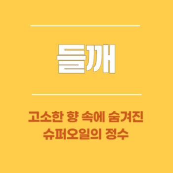 들깨, 고소한 향 속에 숨겨진 슈퍼오일의 정수