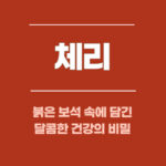 체리, 붉은 보석 속에 담긴 달콤한 건강의 비밀