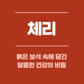 체리, 붉은 보석 속에 담긴 달콤한 건강의 비밀