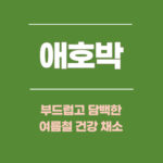 애호박, 부드럽고 담백한 여름철 건강 채소