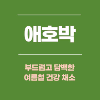애호박, 부드럽고 담백한 여름철 건강 채소