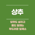 상추, 입맛도 살리고 몸도 달래는 부드러운 잎채소