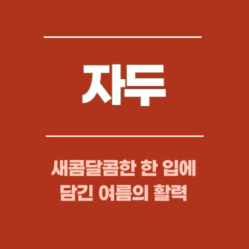 자두, 새콤달콤한 한 입에 담긴 여름의 활력