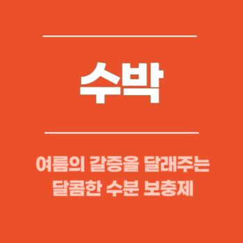 수박, 여름의 갈증을 달래주는 달콤한 수분 보충제
