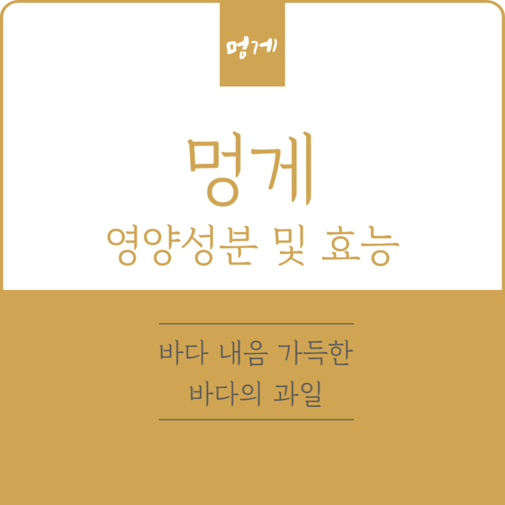 멍게 영양성분 및 효능, 바다 내음 가득한 바다의 과일
