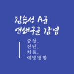 침습성 A군 연쇄구균 감염 증상, 진단, 치료, 예방방법