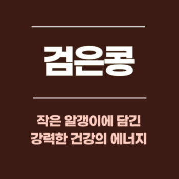 검은콩, 작은 알갱이에 담긴 강력한 건강의 에너지