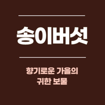 송이버섯, 향기로운 가을의 귀한 보물