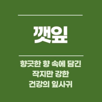 깻잎, 향긋한 향 속에 담긴 작지만 강한 건강의 잎사귀