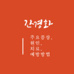 간경화 주요증상, 원인, 진단, 치료, 예방방법