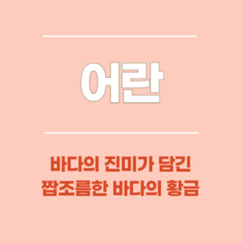 어란, 바다의 진미가 담긴 짭조름한 바다의 황금