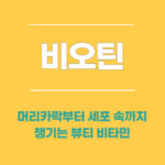 비오틴, 머리카락부터 세포 속까지 챙기는 뷰티 비타민