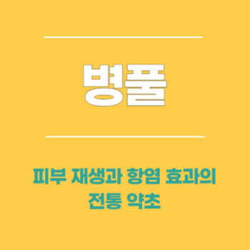 병풀, 피부 재생과 항염 효과의 전통 약초