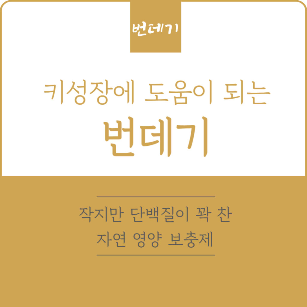 키성장에 도움이 되는 번데기, 작지만 단백질이 꽉 찬 자연 영양 보충제