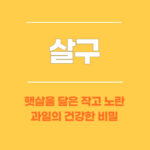 살구, 햇살을 닮은 작고 노란 과일의 건강한 비밀