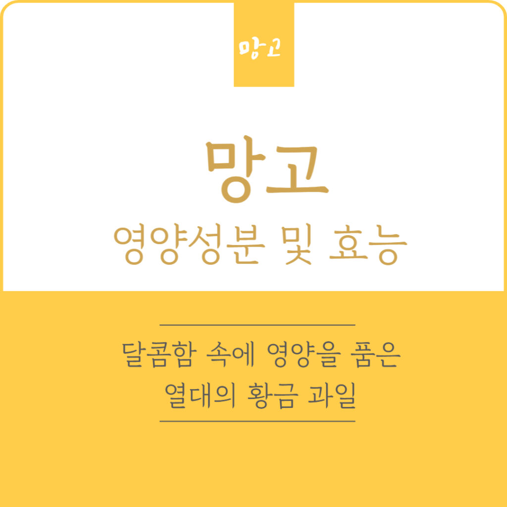 망고 영양성분 및 효능, 달콤함 속에 영양을 품은 열대의 황금 과일