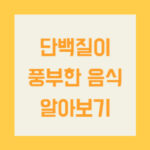 단백질이 풍부한 음식, 건강한 몸을 위한 필수 선택