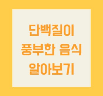 단백질이 풍부한 음식, 건강한 몸을 위한 필수 선택