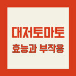 대저 토마토, 효능과 부작용