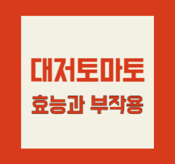대저 토마토, 효능과 부작용
